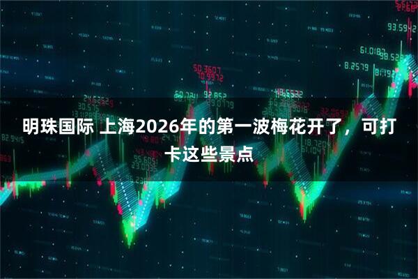 明珠国际 上海2026年的第一波梅花开了，可打卡这些景点