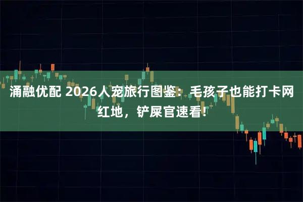 涌融优配 2026人宠旅行图鉴：毛孩子也能打卡网红地，铲屎官速看!